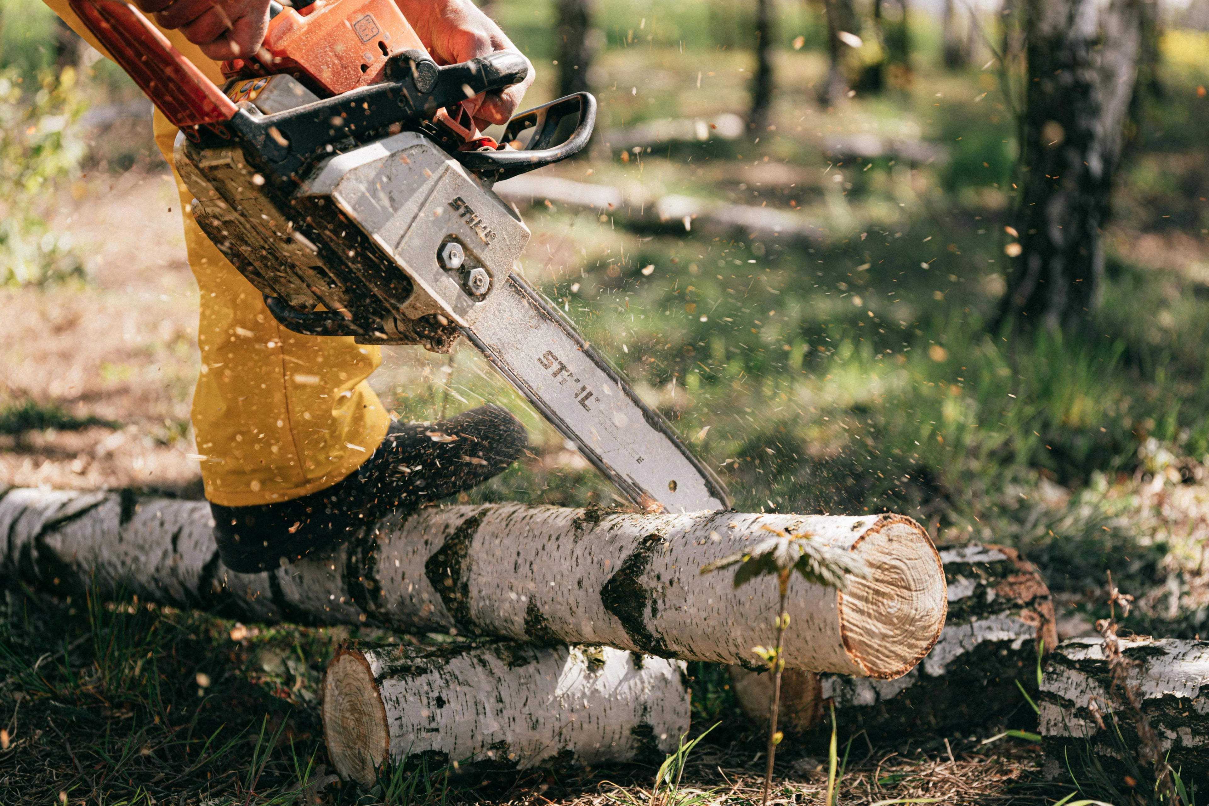 Tree Service in Kenilworth - Jenkins Tree Care