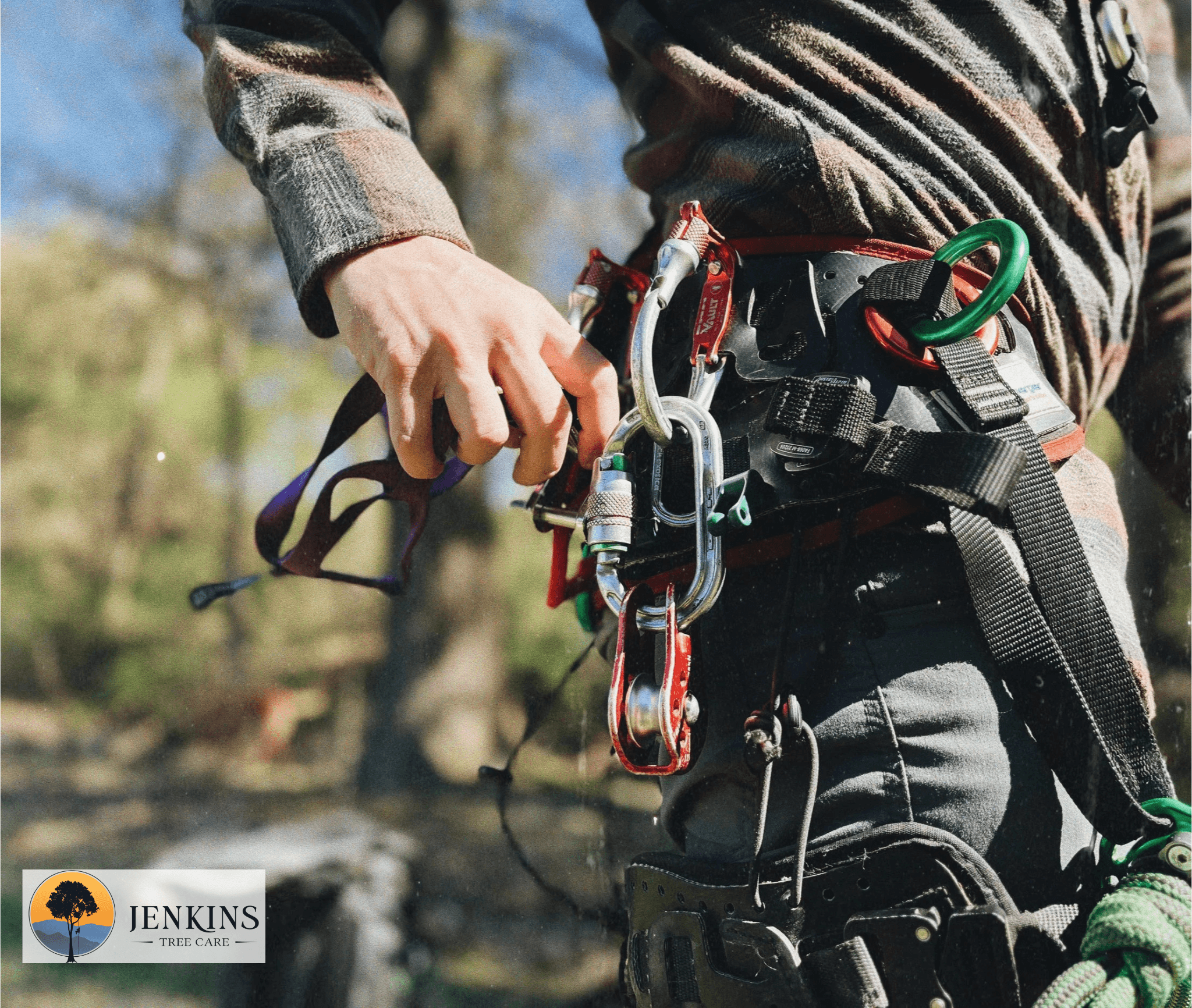 Essential Guide to Safe and Efficient Tree Climbing for Tree Care Professionals